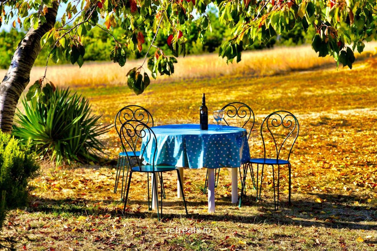 La Colle En Provence Main House Villa Sigonce Bagian luar foto